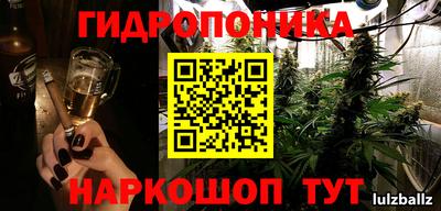 соль ск Кулебаки