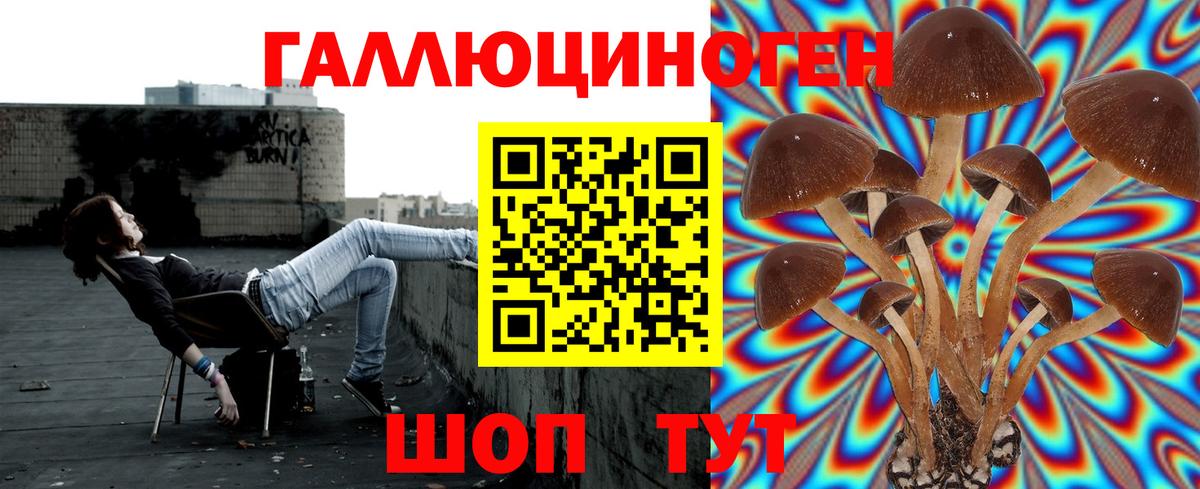 Златоуст  Галлюциногенные грибы MAGIC MUSHROOMS  Вход с VPN  Галлюциногенные грибы MAGIC MUSHROOMS 