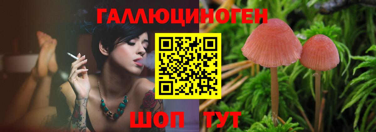 Галлюциногенные грибы ЛСД Златоуст